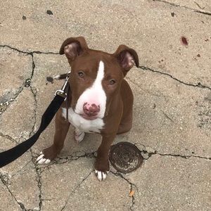 Meet your Posher, Nate